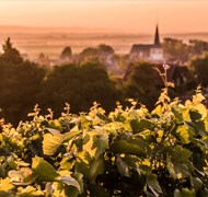 Click to view gallery Gauntleys Ch3