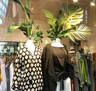 Click to view gallery TUTU 3